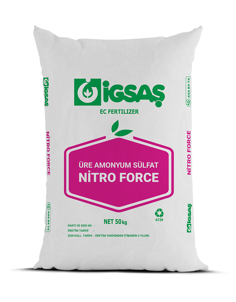 NİTRO FORCE