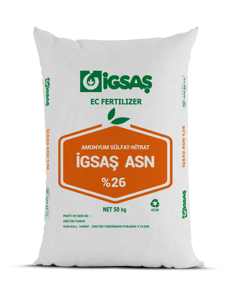 İGSAŞ ASN 26 %