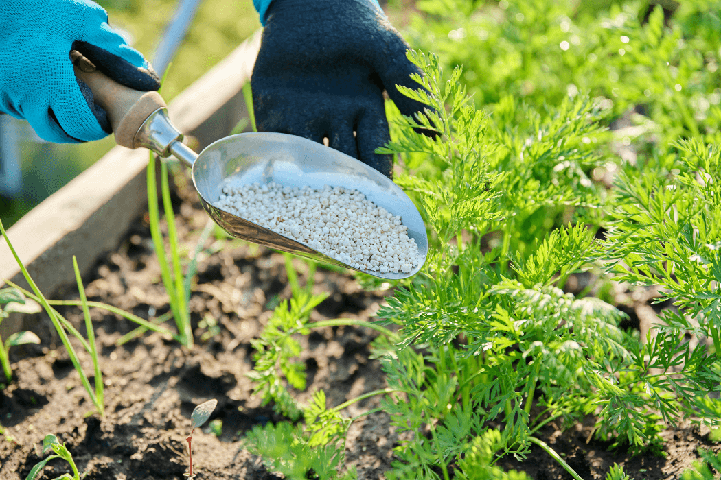 Which products can be used as alternatives to urea and sulfate to prevent nitrogen losses?
